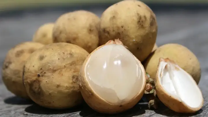 Trái Bòn Bon Tiếng Anh Là Gì