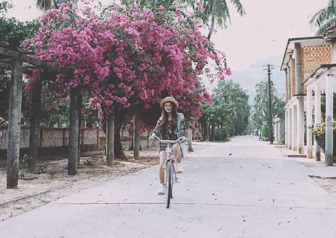 Giá Vé Vào Trại Phong