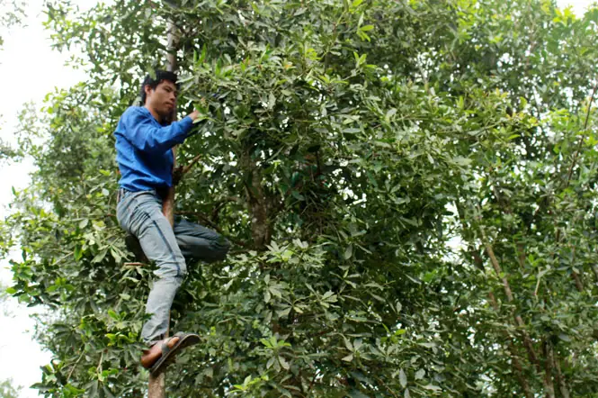 Trần Anh Lạng Sơn Khuyến Mãi Trần Anh Lạng Sơn Khuyến Mãi