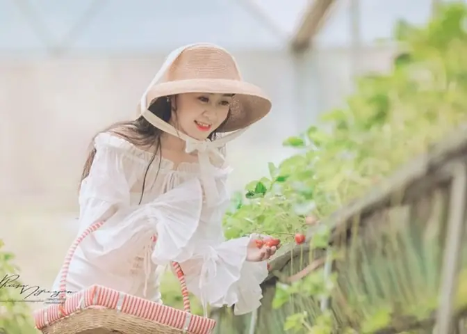 Chimi Farm - Nông Trại Đẹp Ở Việt Nam Với Những Vườn Dâu Tây Mướt Mắt