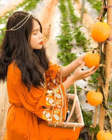 Chimi Farm - Nông Trại Đẹp Ở Việt Nam Với Những Vườn Dâu Tây Mướt Mắt Chimi Farm - Nông Trại Đẹp Ở Việt Nam Với Những Vườn Dâu Tây Mướt Mắt