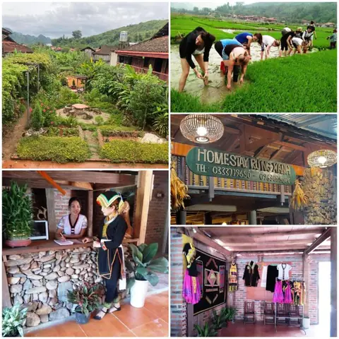Homestay Rừng Xanh Homestay Rừng Xanh
