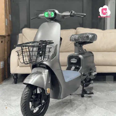 Xe Đạp Điện Lihaze V1