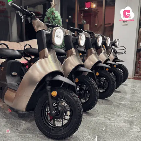 Địa Chỉ Mua Xe Điện Giá 14 Triệu Chính Hãng, Uy Tín Trên Thị Trường