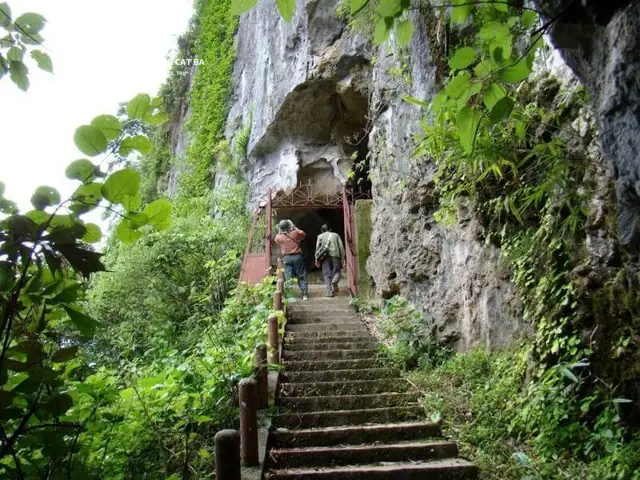 Động Trung Trang: Hành Trình Khám Phá Kỳ Vĩ