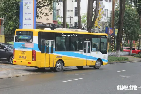 Tuyến Xe Buýt Số 11 Đà Nẵng: Lộ Trình, Giá Vé & Kinh Nghiệm Đi Lại Toàn Tập
