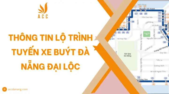 Tuyến Xe Buýt Số 11 Đà Nẵng: Lộ Trình, Giá Vé & Kinh Nghiệm Đi Lại Toàn Tập