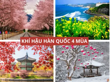 Tìm Hiểu Khí Hậu Hàn Quốc Khác Gì So Với Việt Nam Để Không Bỡ ... Tìm Hiểu Khí Hậu Hàn Quốc Khác Gì So Với Việt Nam Để Không Bỡ ...