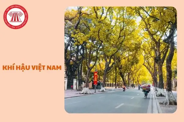 Việt Nam Thuộc Kiểu Khí Hậu Nào? Khí Hậu Miền Nam Trung Bộ Và ... Việt Nam Thuộc Kiểu Khí Hậu Nào? Khí Hậu Miền Nam Trung Bộ Và ...