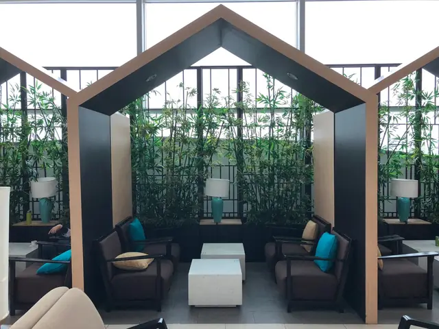 Vietnam Airlines Lotus Business Class Lounge Review (sgn)