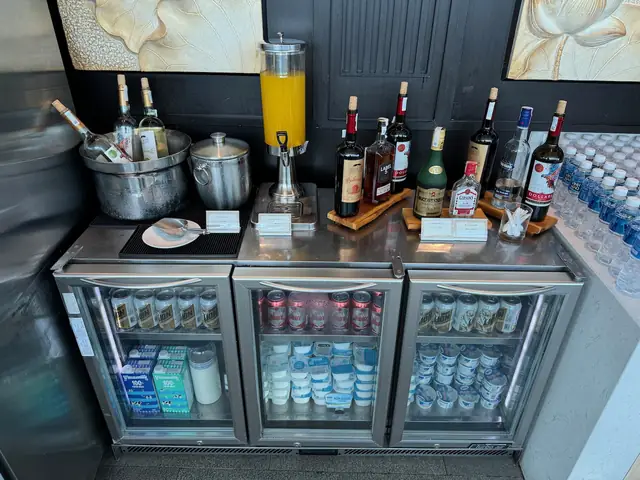 Vietnam Airlines Lotus Business Class Lounge Review (sgn)