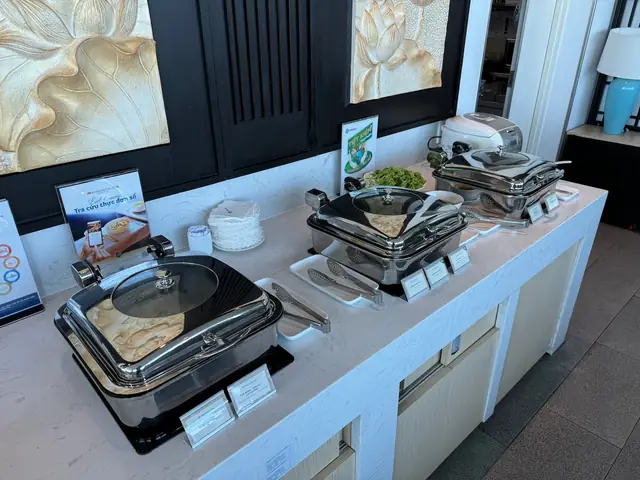 Vietnam Airlines Lotus Business Class Lounge Review (sgn)