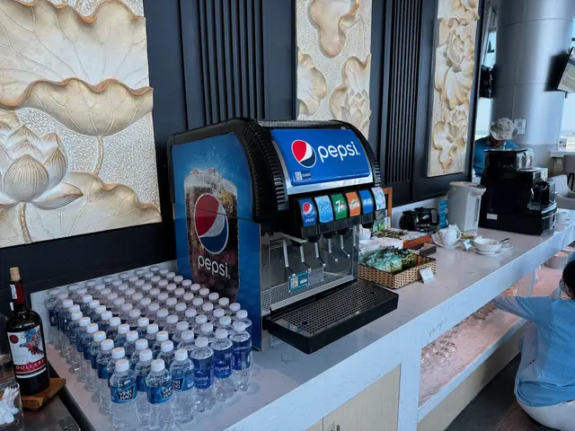Vietnam Airlines Lotus Business Class Lounge Review (sgn)
