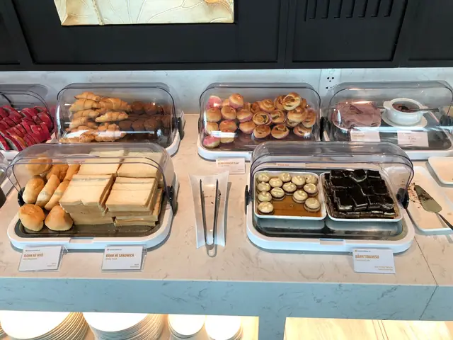 Vietnam Airlines Lotus Business Class Lounge Review (sgn)