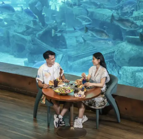 Vinpearl Phú Quốc Nên Ở Khu Nào Vinpearl Phú Quốc Nên Ở Khu Nào