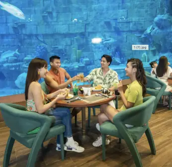 Vinpearl Phú Quốc Nên Ở Khu Nào Vinpearl Phú Quốc Nên Ở Khu Nào