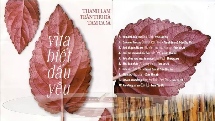 Vừa Biết Dấu Yêu Trần Thu Hà: Hành Trình Đam Mê Âm Nhạc Của Một Nghệ Sĩ Đa Tài Vừa Biết Dấu Yêu Trần Thu Hà: Hành Trình Đam Mê Âm Nhạc Của Một Nghệ Sĩ Đa Tài