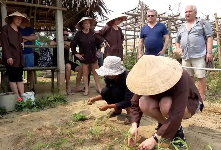 Vườn Rau Hữu Cơ Thanh Đông Cẩm Thanh Hội An Vườn Rau Hữu Cơ Thanh Đông Cẩm Thanh Hội An
