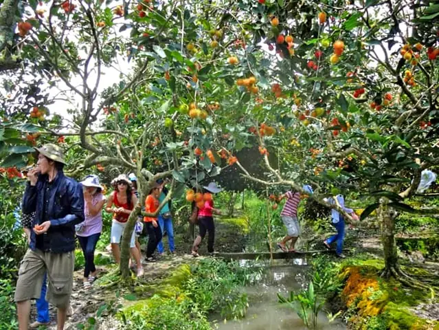 Ăn Gì Và Chơi Gì Tại Khu Vườn Trái Cây Trung An – Củ Chi