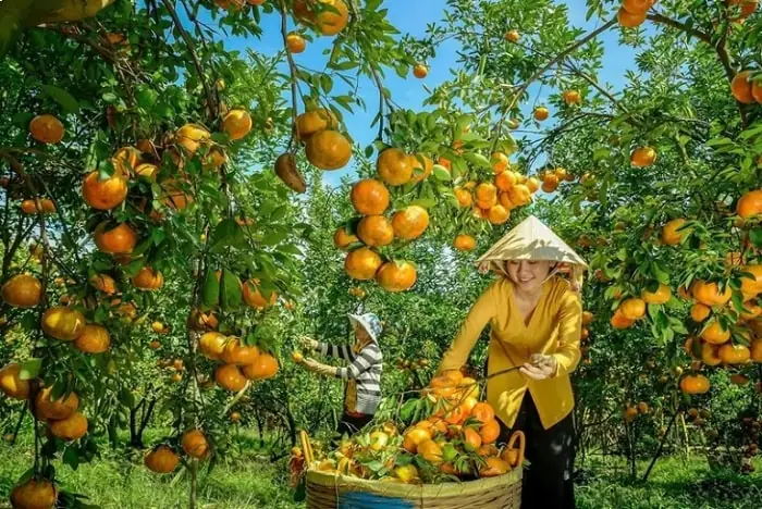 Vườn Trái Cây An Bình