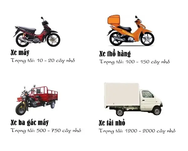 Phí Vận Chuyển Và Hình Thức Giao Hàng