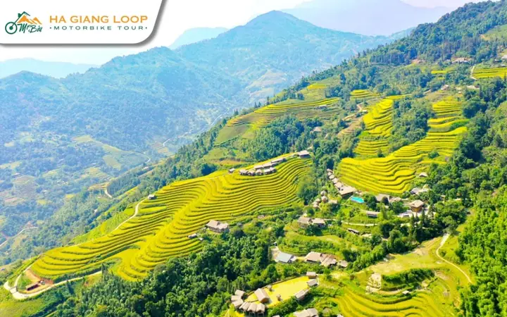 Hoang Su Phi – Stunning Rice Terraces In Winter