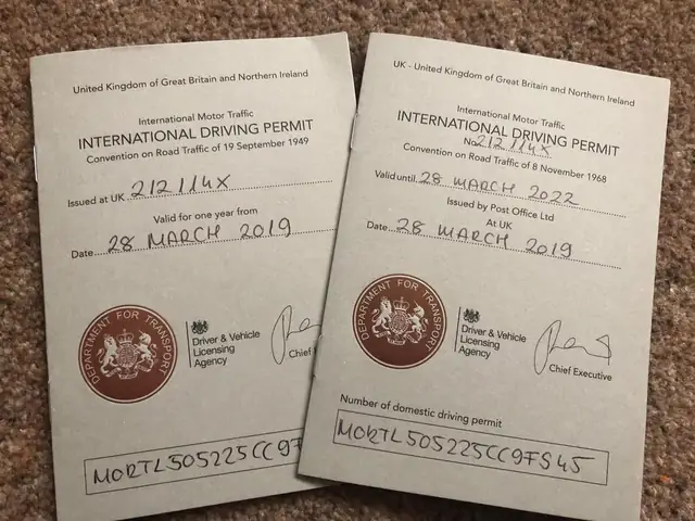Domestic Drivers License