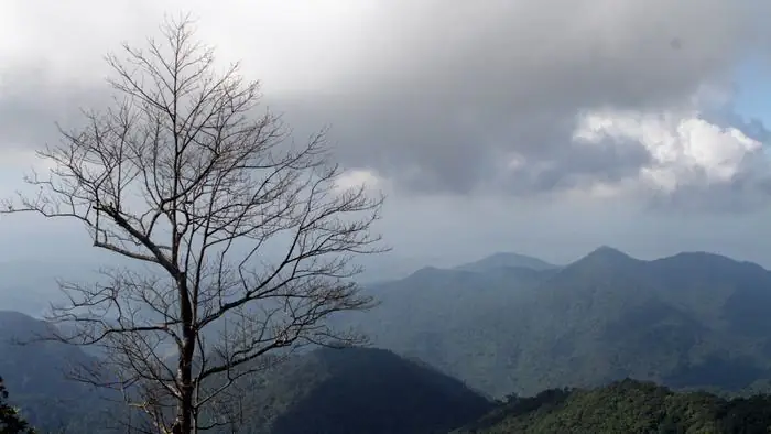 Northeast Monsoon