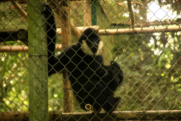 Cúc Phương National Park