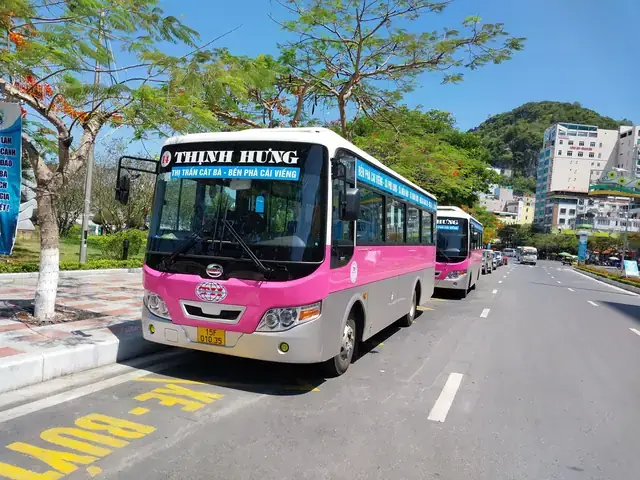 Thời Gian Hoạt Động Điển Hình Của Xe Buýt Và Các Phương Tiện Công Cộng Ở Một Số Khu Vực Nổi Bật