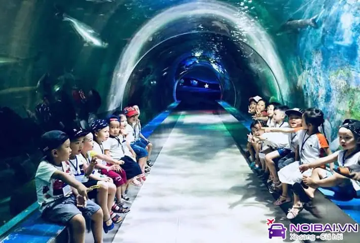 Hướng Dẫn Gọi Xe Sân Bay Nội Bài Về Thiên Đường Bảo Sơn