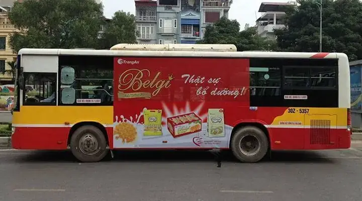 Tầm Quan Trọng Của Việc Hiểu Rõ Giao Thông Nội Địa Trong Bối Cảnh Du Lịch Và Di Trú Quốc Tế
