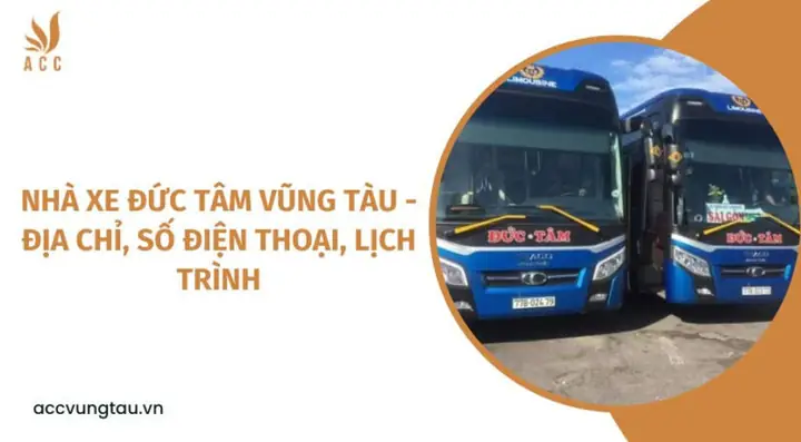 Tổng Quan Về Đơn Vị Vận Tải Đức Tâm Vũng Tàu