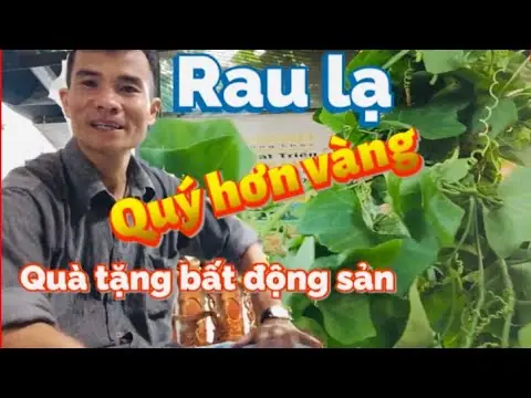 Xem Phim Địa Ngục Chốn Rừng Xanh: Câu Chuyện Sinh Tồn Đầy Ám Ảnh