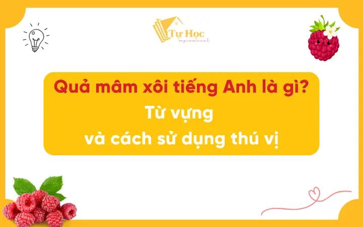 Xôi Trong Tiếng Anh Là Gì? Tổng Hợp Từ Vựng, Cách Dùng Và Công Dụng