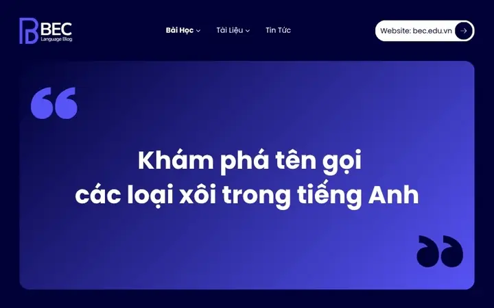 Bảng Tổng Hợp Tên Các Loại Xôi Trong Tiếng Anh Đầy Đủ Nhất