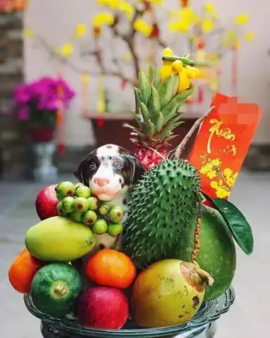 Dừa Trong Các Vùng Miền