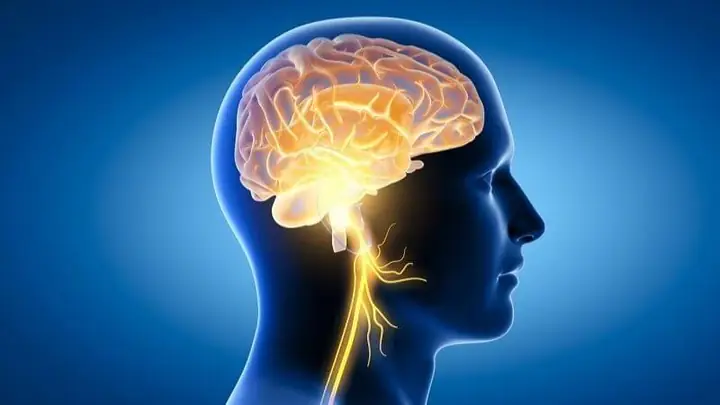 Tăng Cường Sức Khỏe Não Bộ Tăng Cường Sức Khỏe Não Bộ