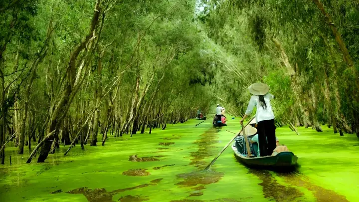 An Giang Miền Nào? Du Lịch An Giang Có Gì Hấp Dẫn?