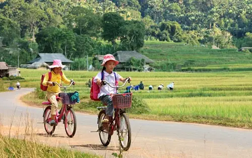 Bài Hát Đi Học Bùi Đình Thảo