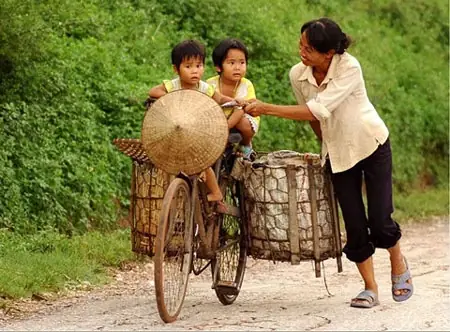Thơ Hay Về Tình Mẹ