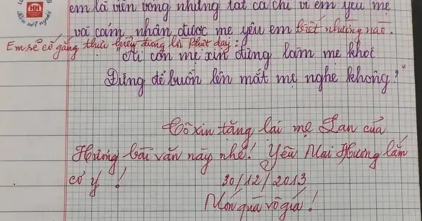 Bài Văn Tả Mẹ Đạt 9 Điểm Gây 'sốt' Mạng, Tinh Tế Nhất Là Lời Phê Của ...