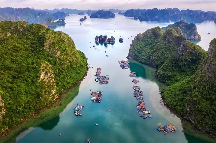 Làng Chài Trên Vịnh Hạ Long Vào Top Điểm Đến Ven Biển Đẹp Nhất Thế Giới Làng Chài Trên Vịnh Hạ Long Vào Top Điểm Đến Ven Biển Đẹp Nhất Thế Giới