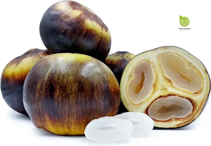 Quy Trình Chế Biến Bánh Bò Thốt Nốt Kỳ Công Và Tỉ Mỉ