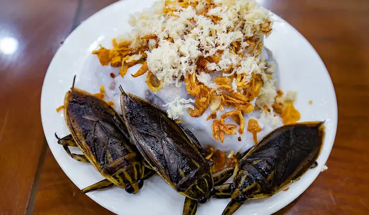 Bánh Cuốn Cà Cuống – Nét Ẩm Thực Độc Đáo Của Người Hà Thành