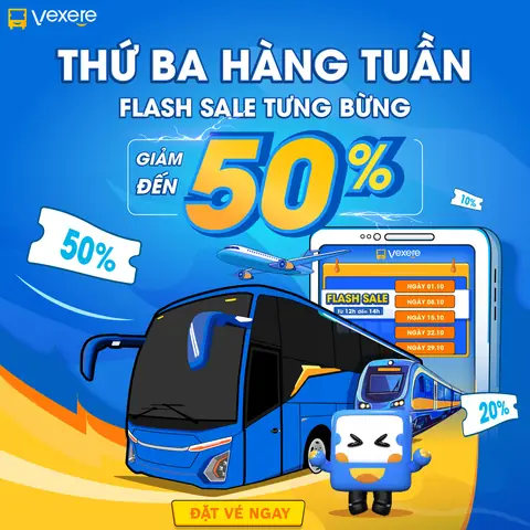 Viện Hải Dương Học Nha Trang: Địa Chỉ, Cách Di Chuyển - Vexere ...