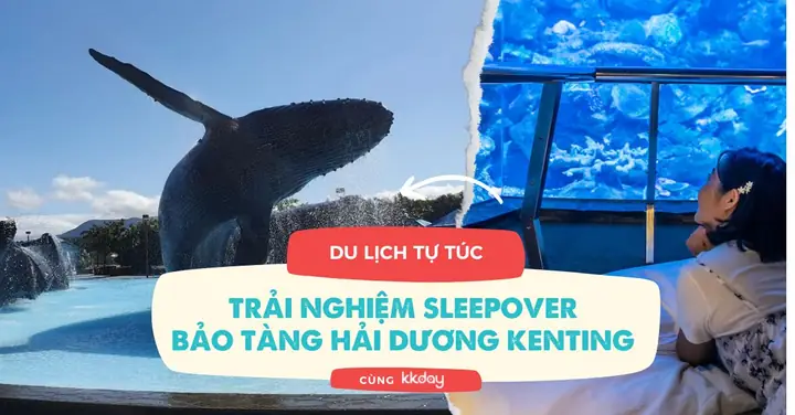 Bảo Tàng Hải Dương Đài Loan Tại Kenting: Trải Nghiệm Sleep-over