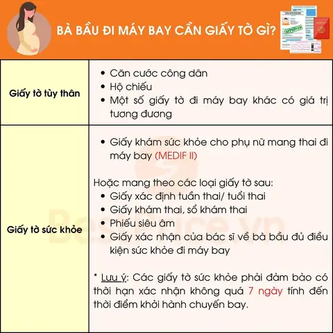 Bà Bầu Đi Máy Bay Cần Giấy Tờ Gì? Bà Bầu Đi Máy Bay Cần Giấy Tờ Gì?