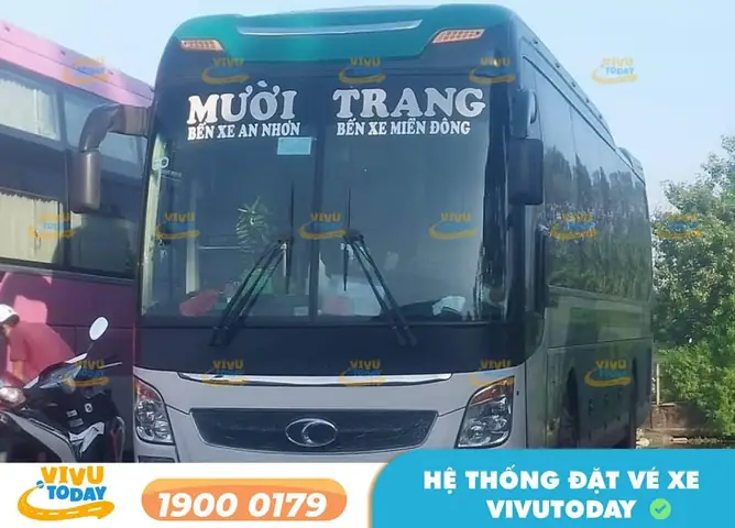 Xe Sài Gòn Về An Nhơn, Bình Định