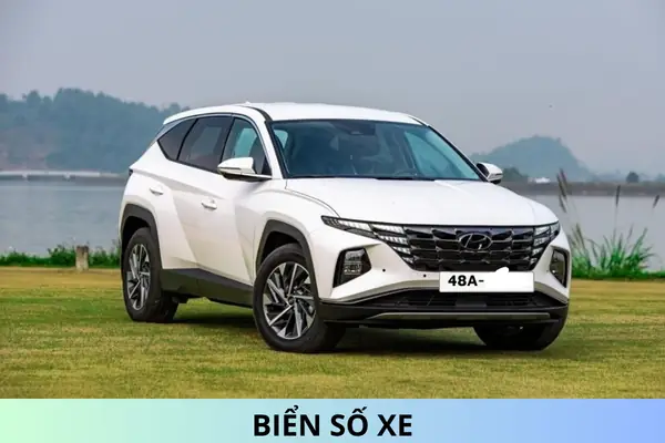 Biển Số Xe 48 Là Của Tỉnh Nào? Giấy Tờ Chuyển Quyền Sở Hữu Xe Gồm ...
